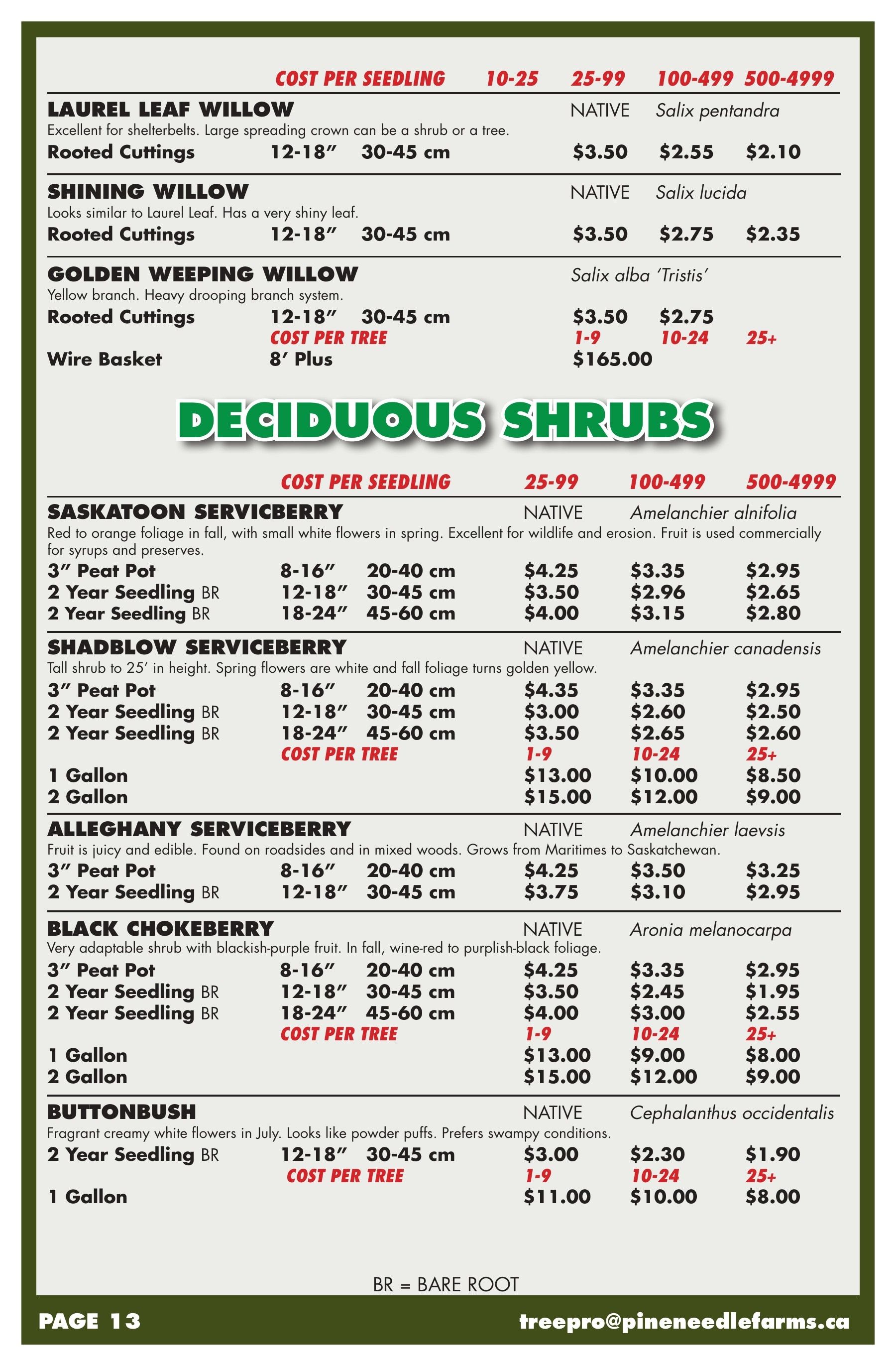 Pineneedle Farms Annual Catalog Weekly Ad January 1 - December 31, 2026