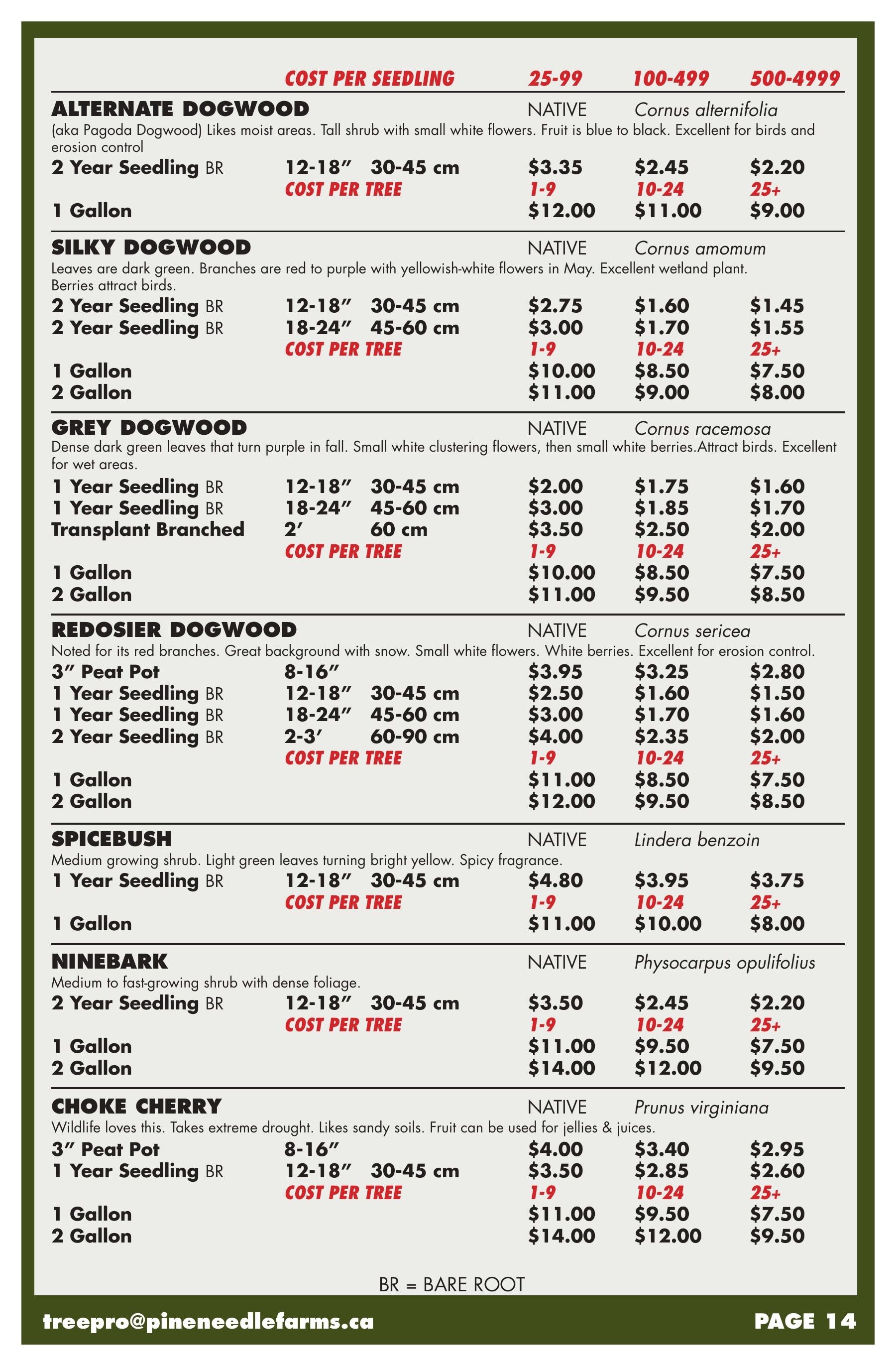 Pineneedle Farms Annual Catalog Weekly Ad January 1 - December 31, 2026