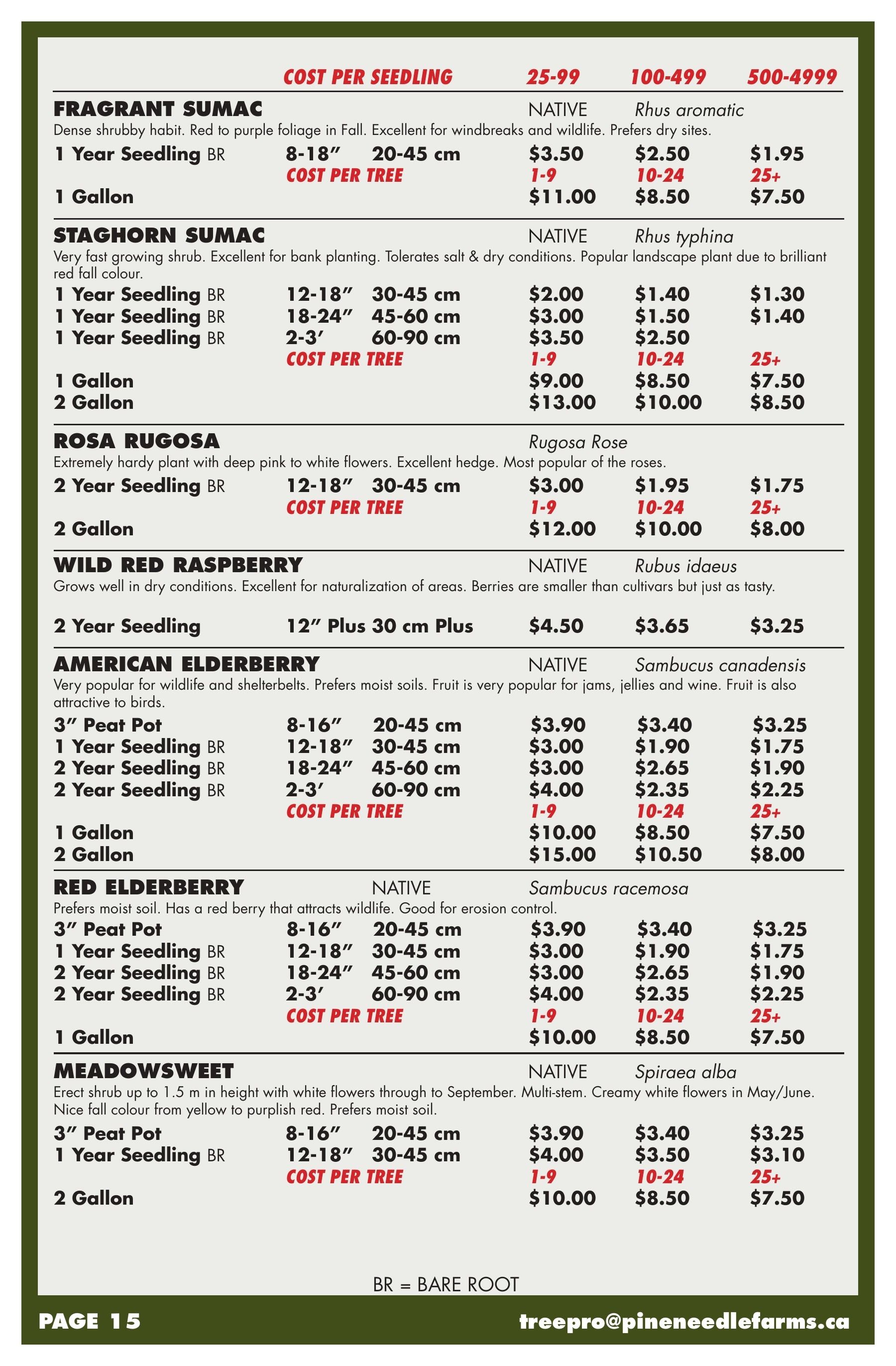 Pineneedle Farms Annual Catalog Weekly Ad January 1 - December 31, 2026