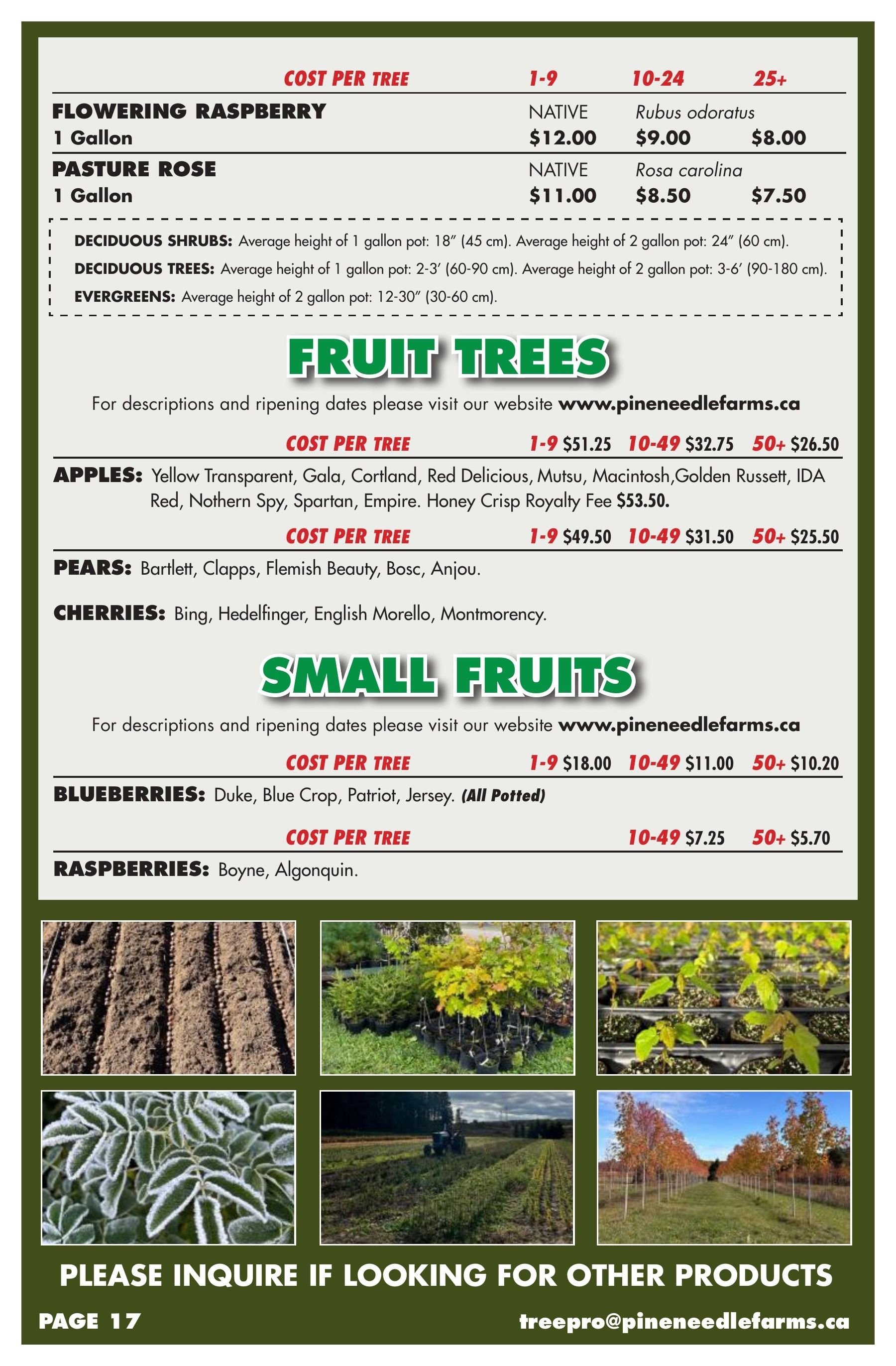 Pineneedle Farms Annual Catalog Weekly Ad January 1 - December 31, 2026