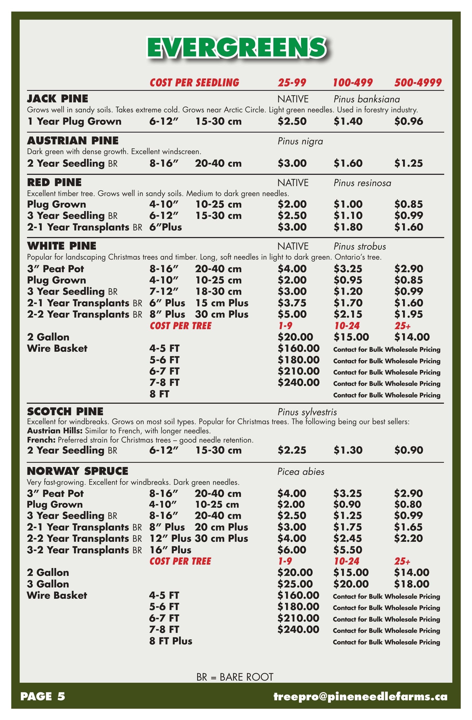 Pineneedle Farms Annual Catalog Weekly Ad January 1 - December 31, 2026