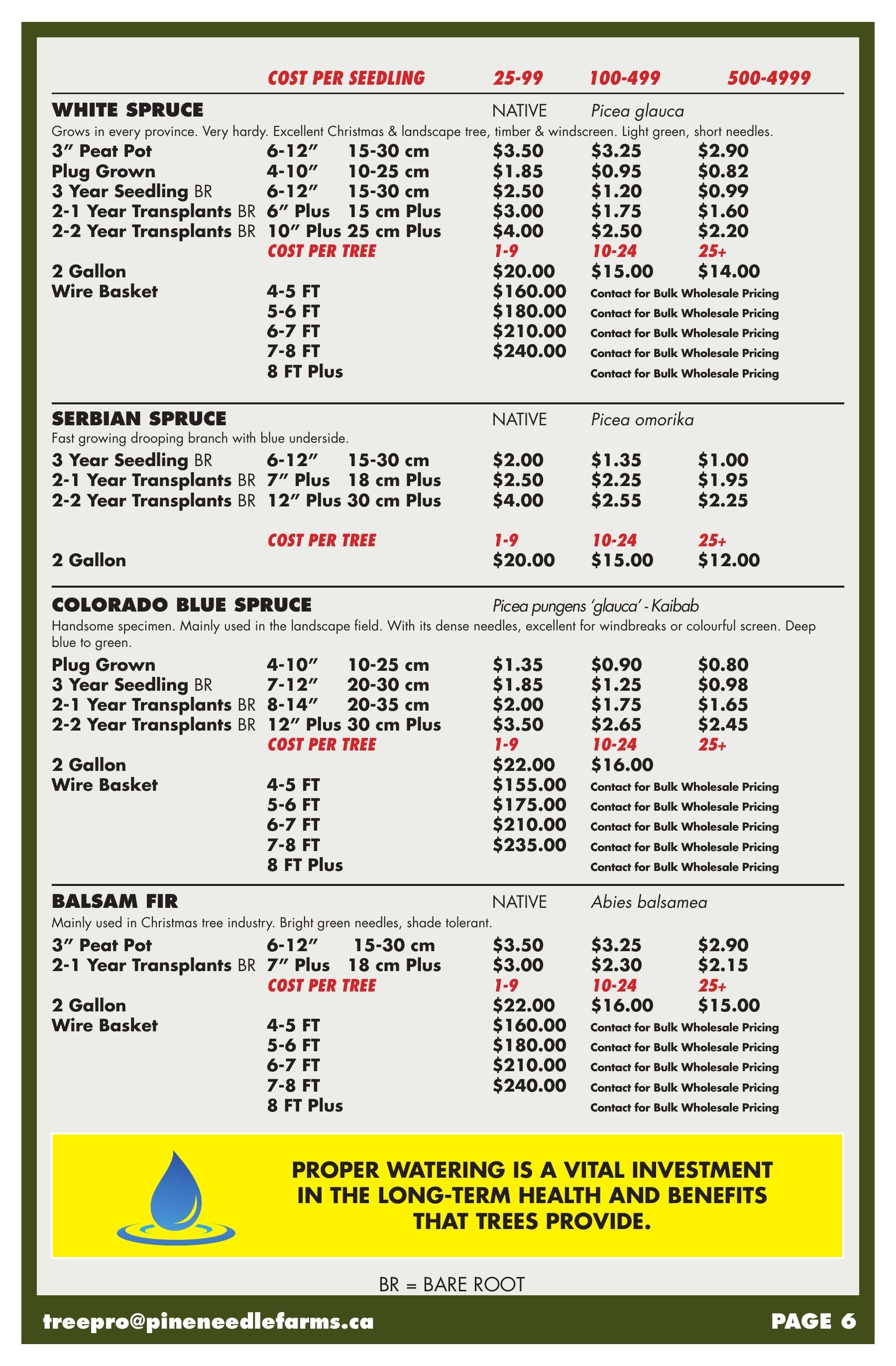 Pineneedle Farms Annual Catalog Weekly Ad January 1 - December 31, 2026