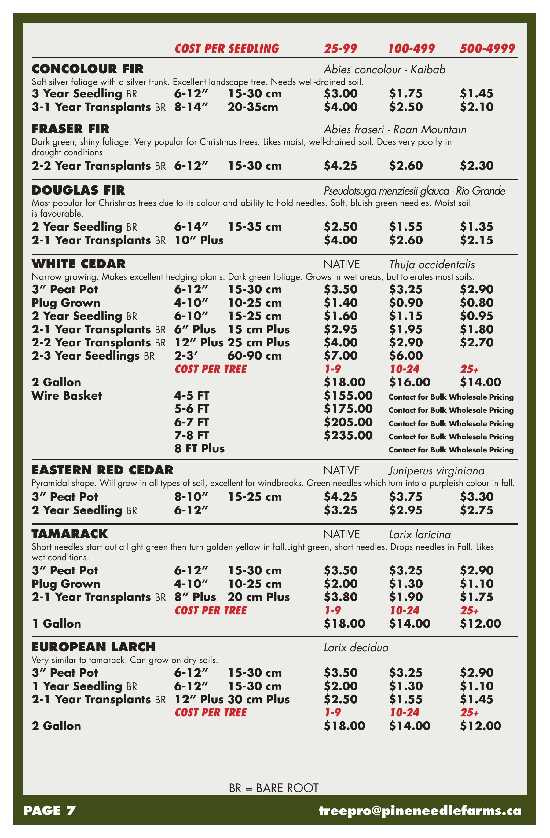 Pineneedle Farms Annual Catalog Weekly Ad January 1 - December 31, 2026
