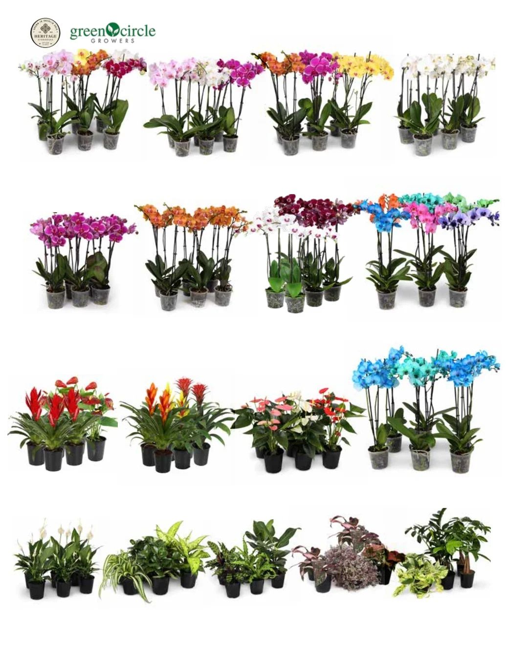 Direct Floral Fall and Winter Floral Catalog Weekly Ad January 1 - December 31, 2026