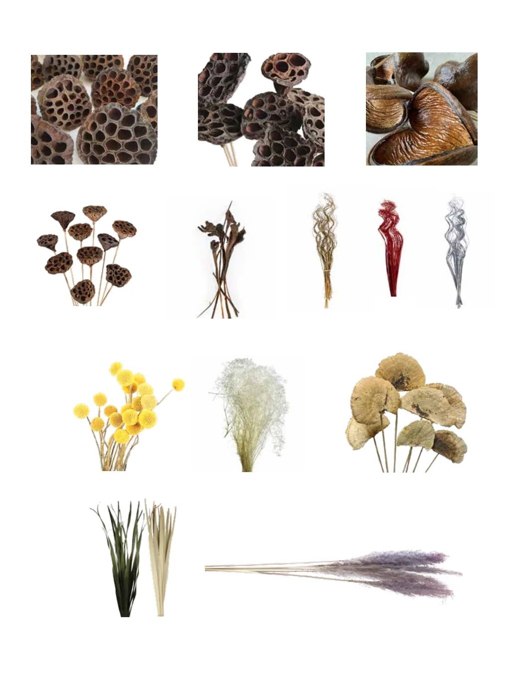 Direct Floral Fall and Winter Floral Catalog Weekly Ad January 1 - December 31, 2026