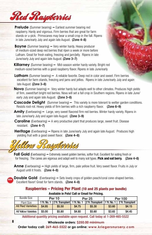 Krieger's Wholesale Nursery Wholesale Nursery Catalog Weekly Ad January 1 - December 31, 2026