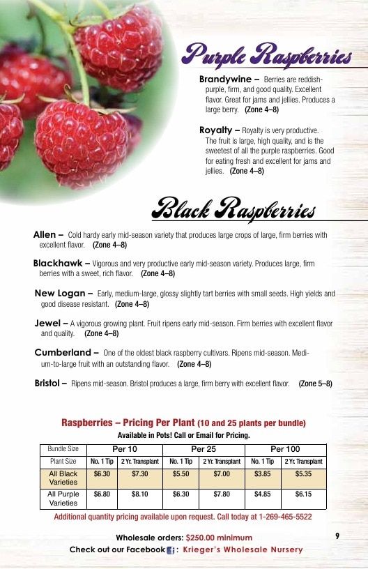 Krieger's Wholesale Nursery Wholesale Nursery Catalog Weekly Ad January 1 - December 31, 2026