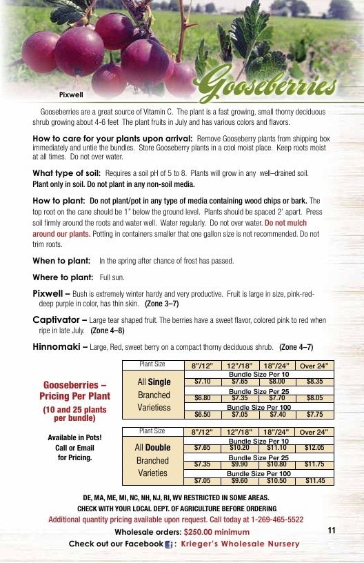 Krieger's Wholesale Nursery Wholesale Nursery Catalog Weekly Ad January 1 - December 31, 2026