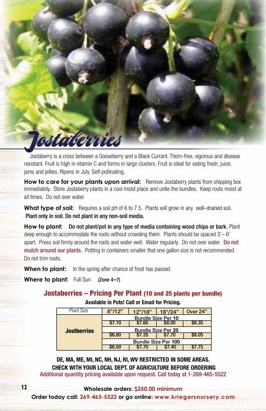 Krieger's Wholesale Nursery Wholesale Nursery Catalog Weekly Ad January 1 - December 31, 2026