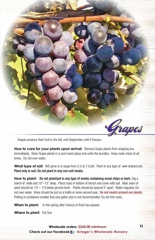 Krieger's Wholesale Nursery Wholesale Nursery Catalog Weekly Ad January 1 - December 31, 2026