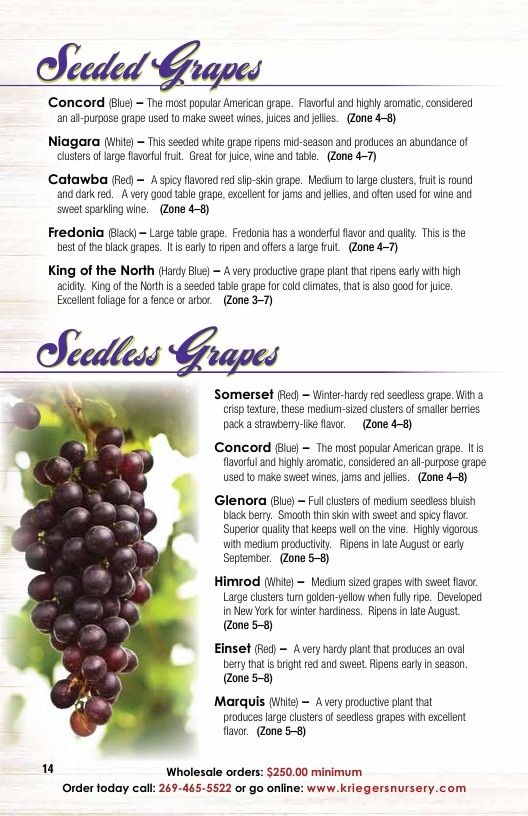 Krieger's Wholesale Nursery Wholesale Nursery Catalog Weekly Ad January 1 - December 31, 2026
