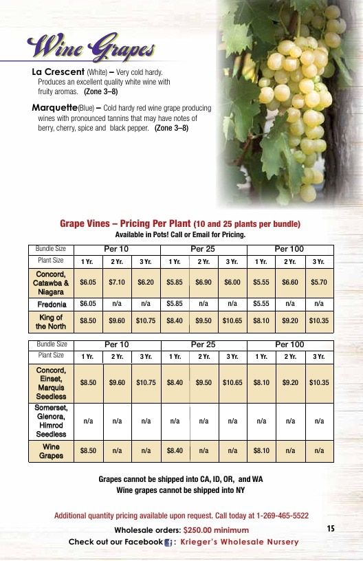 Krieger's Wholesale Nursery Wholesale Nursery Catalog Weekly Ad January 1 - December 31, 2026