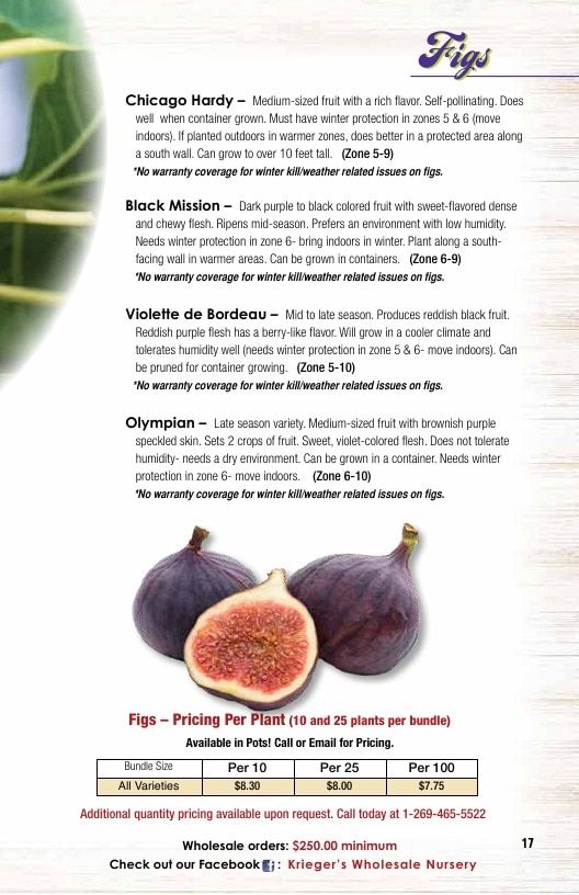 Krieger's Wholesale Nursery Wholesale Nursery Catalog Weekly Ad January 1 - December 31, 2026