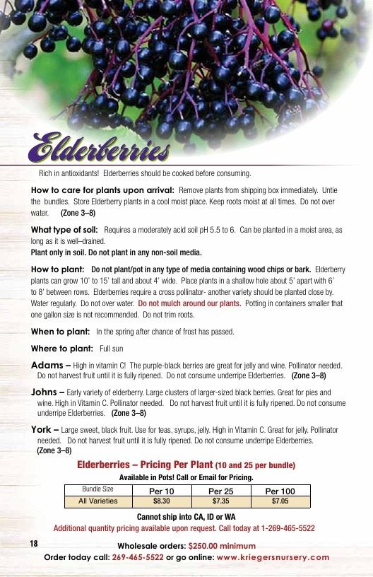 Krieger's Wholesale Nursery Wholesale Nursery Catalog Weekly Ad January 1 - December 31, 2026
