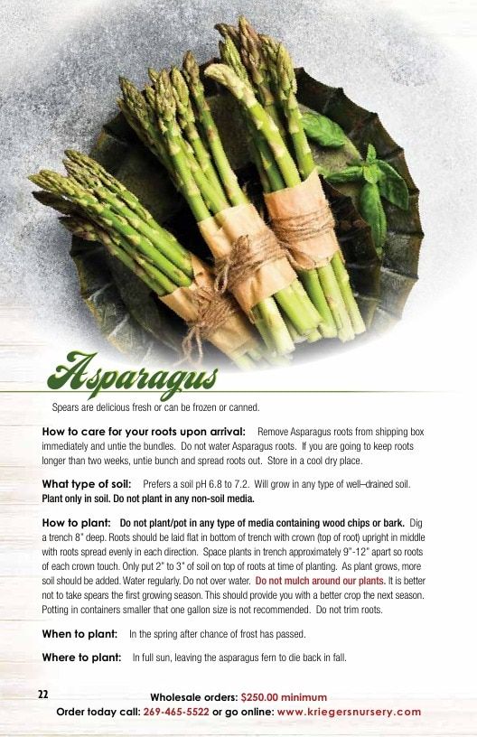 Krieger's Wholesale Nursery Wholesale Nursery Catalog Weekly Ad January 1 - December 31, 2026