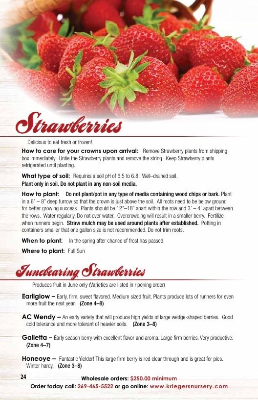 Krieger's Wholesale Nursery Wholesale Nursery Catalog Weekly Ad January 1 - December 31, 2026