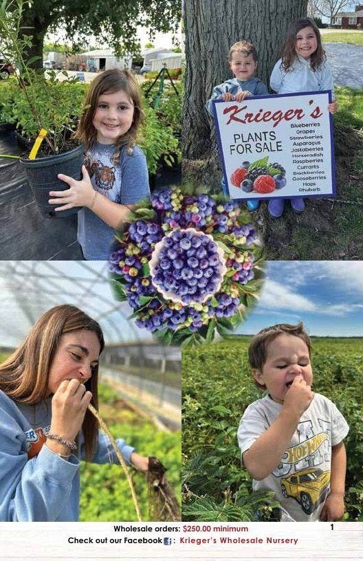 Krieger's Wholesale Nursery Wholesale Nursery Catalog Weekly Ad January 1 - December 31, 2026