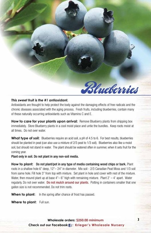 Krieger's Wholesale Nursery Wholesale Nursery Catalog Weekly Ad January 1 - December 31, 2026