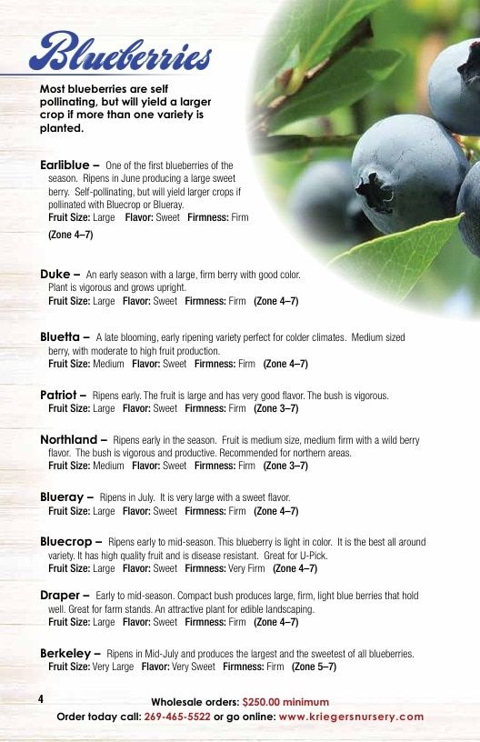 Krieger's Wholesale Nursery Wholesale Nursery Catalog Weekly Ad January 1 - December 31, 2026