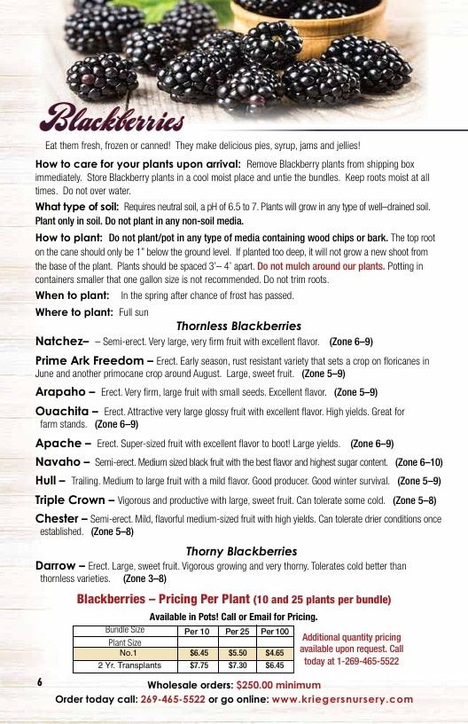 Krieger's Wholesale Nursery Wholesale Nursery Catalog Weekly Ad January 1 - December 31, 2026