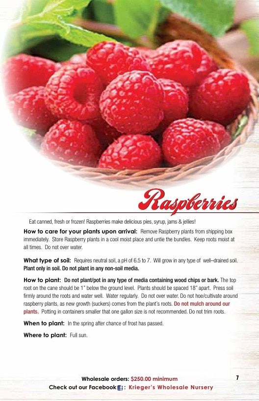 Krieger's Wholesale Nursery Wholesale Nursery Catalog Weekly Ad January 1 - December 31, 2026
