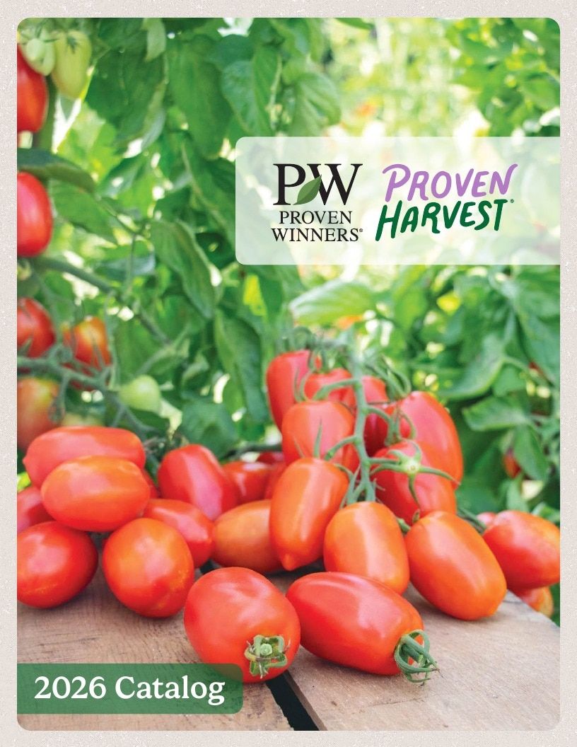 Proven Harvest Vegetable and Herb Catalog Weekly Ad January 1 - December 31, 2026