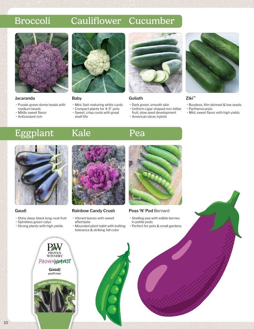 Proven Harvest Vegetable and Herb Catalog Weekly Ad January 1 - December 31, 2026