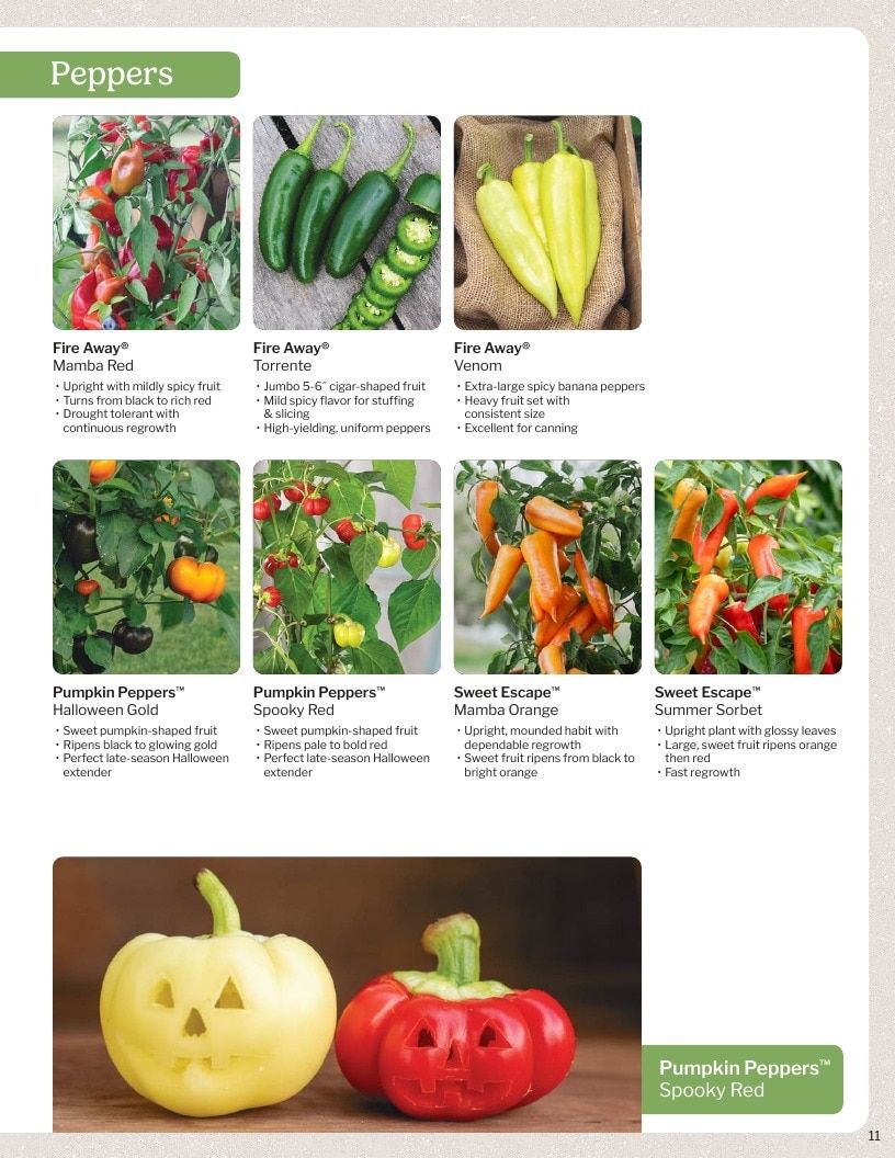 Proven Harvest Vegetable and Herb Catalog Weekly Ad January 1 - December 31, 2026