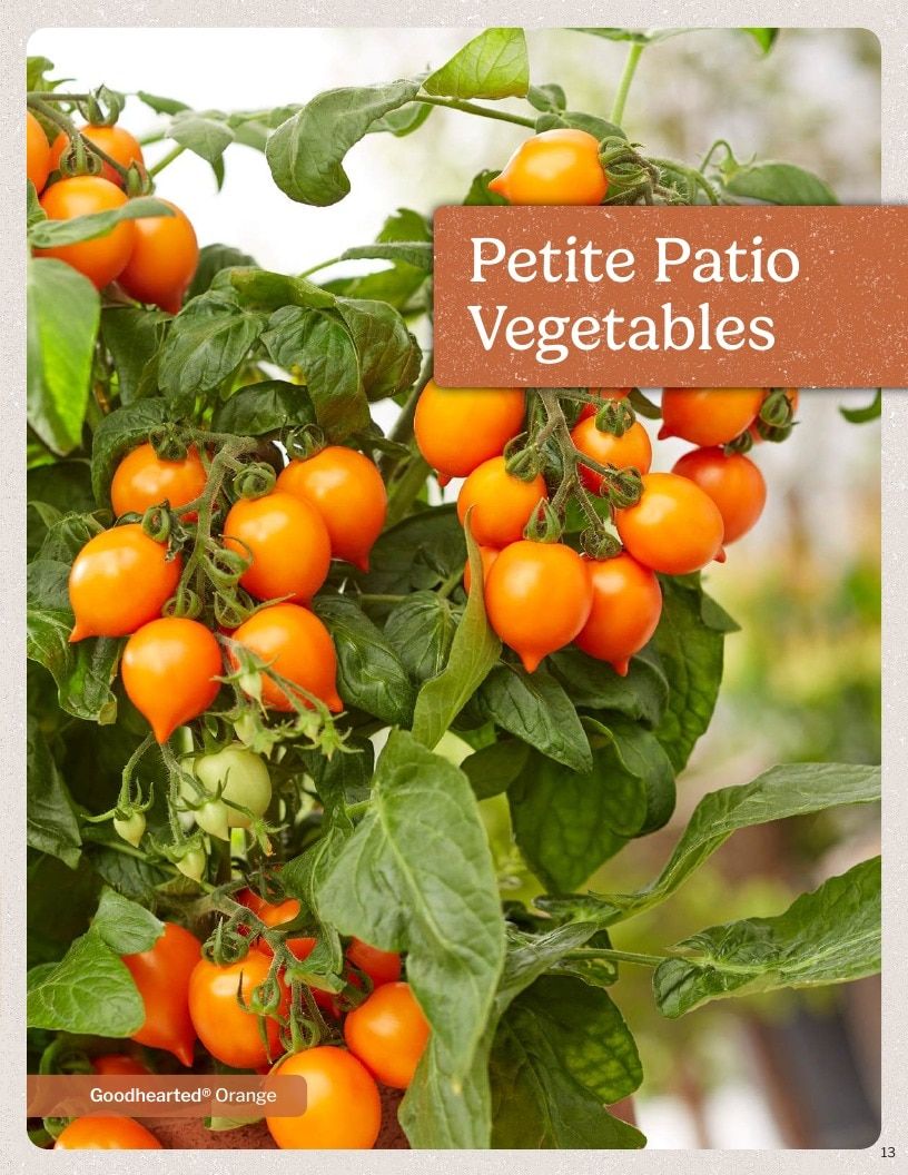 Proven Harvest Vegetable and Herb Catalog Weekly Ad January 1 - December 31, 2026