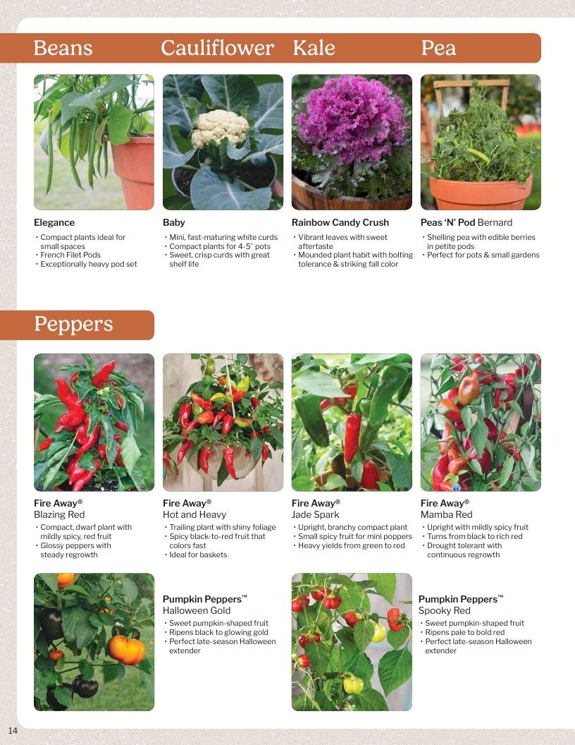 Proven Harvest Vegetable and Herb Catalog Weekly Ad January 1 - December 31, 2026