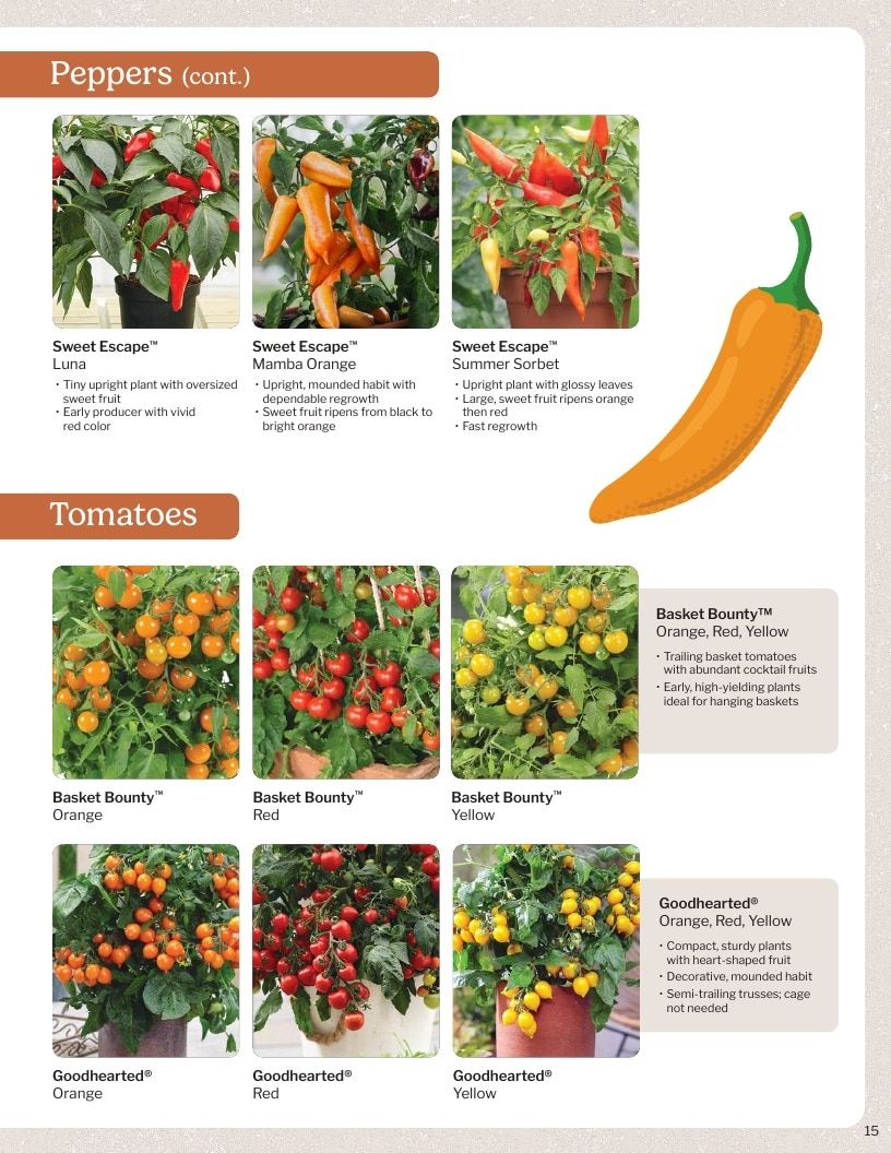 Proven Harvest Vegetable and Herb Catalog Weekly Ad January 1 - December 31, 2026