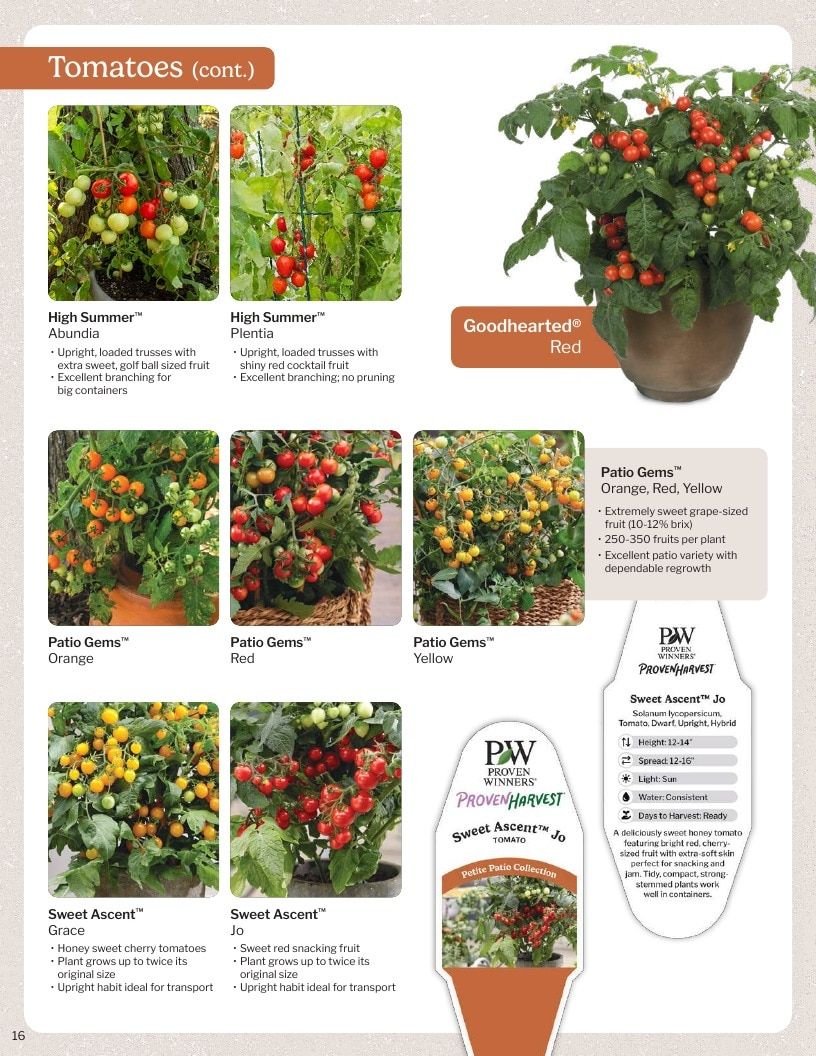Proven Harvest Vegetable and Herb Catalog Weekly Ad January 1 - December 31, 2026
