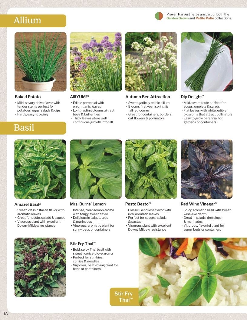 Proven Harvest Vegetable and Herb Catalog Weekly Ad January 1 - December 31, 2026