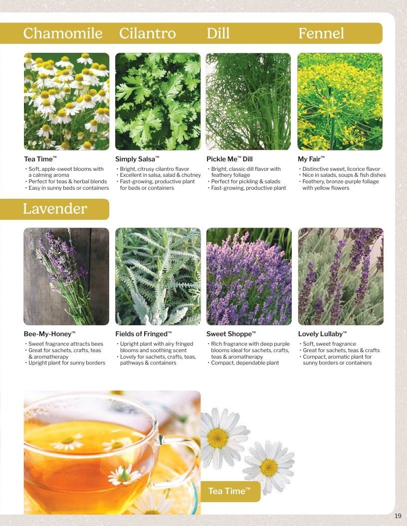 Proven Harvest Vegetable and Herb Catalog Weekly Ad January 1 - December 31, 2026