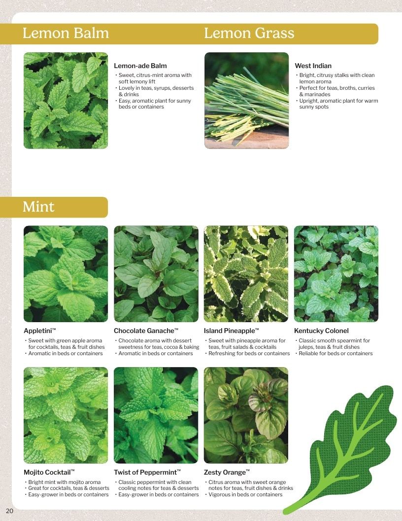 Proven Harvest Vegetable and Herb Catalog Weekly Ad January 1 - December 31, 2026