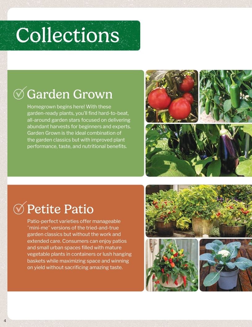 Proven Harvest Vegetable and Herb Catalog Weekly Ad January 1 - December 31, 2026