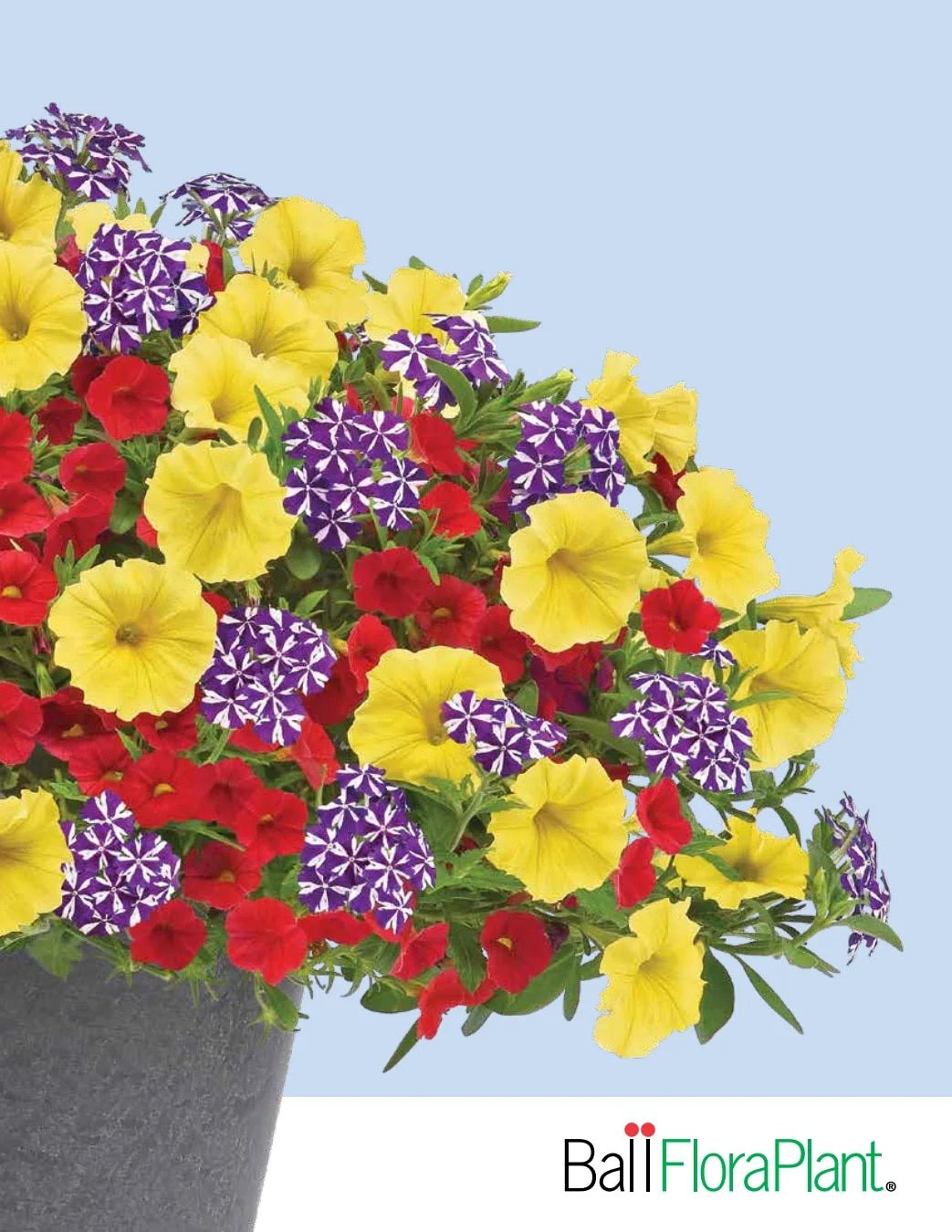 Ball FloraPlant Plants Catalog Weekly Ad January 1 - December 31, 2027