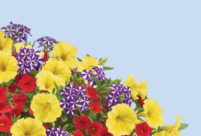 Ball FloraPlant Plants Catalog Weekly Ad January 1 - December 31, 2027