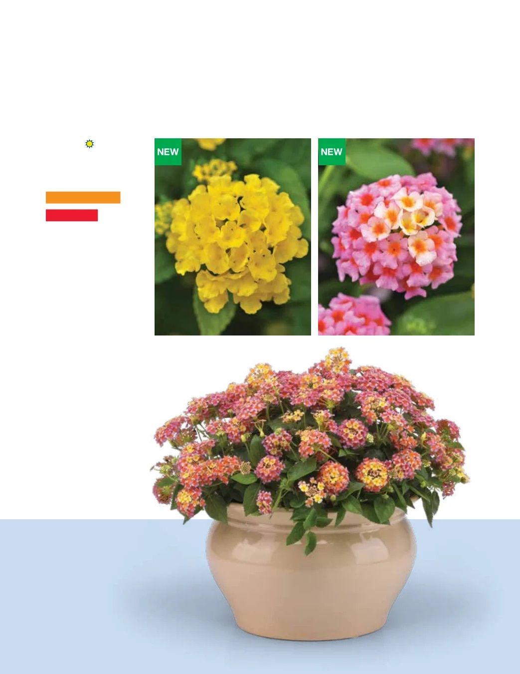Ball FloraPlant Plants Catalog Weekly Ad January 1 - December 31, 2027