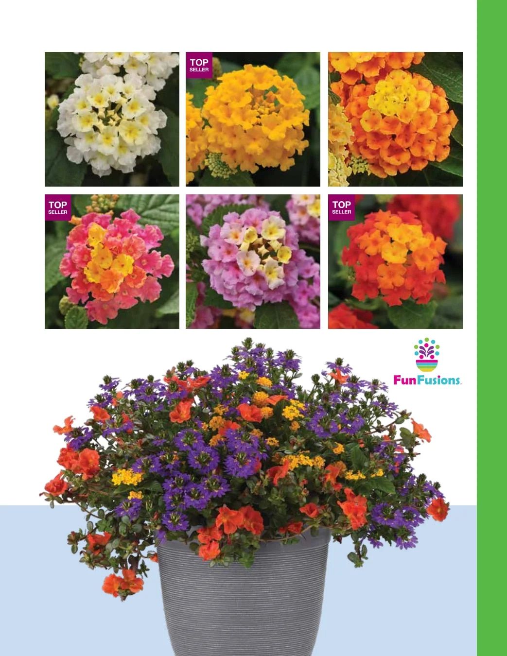 Ball FloraPlant Plants Catalog Weekly Ad January 1 - December 31, 2027