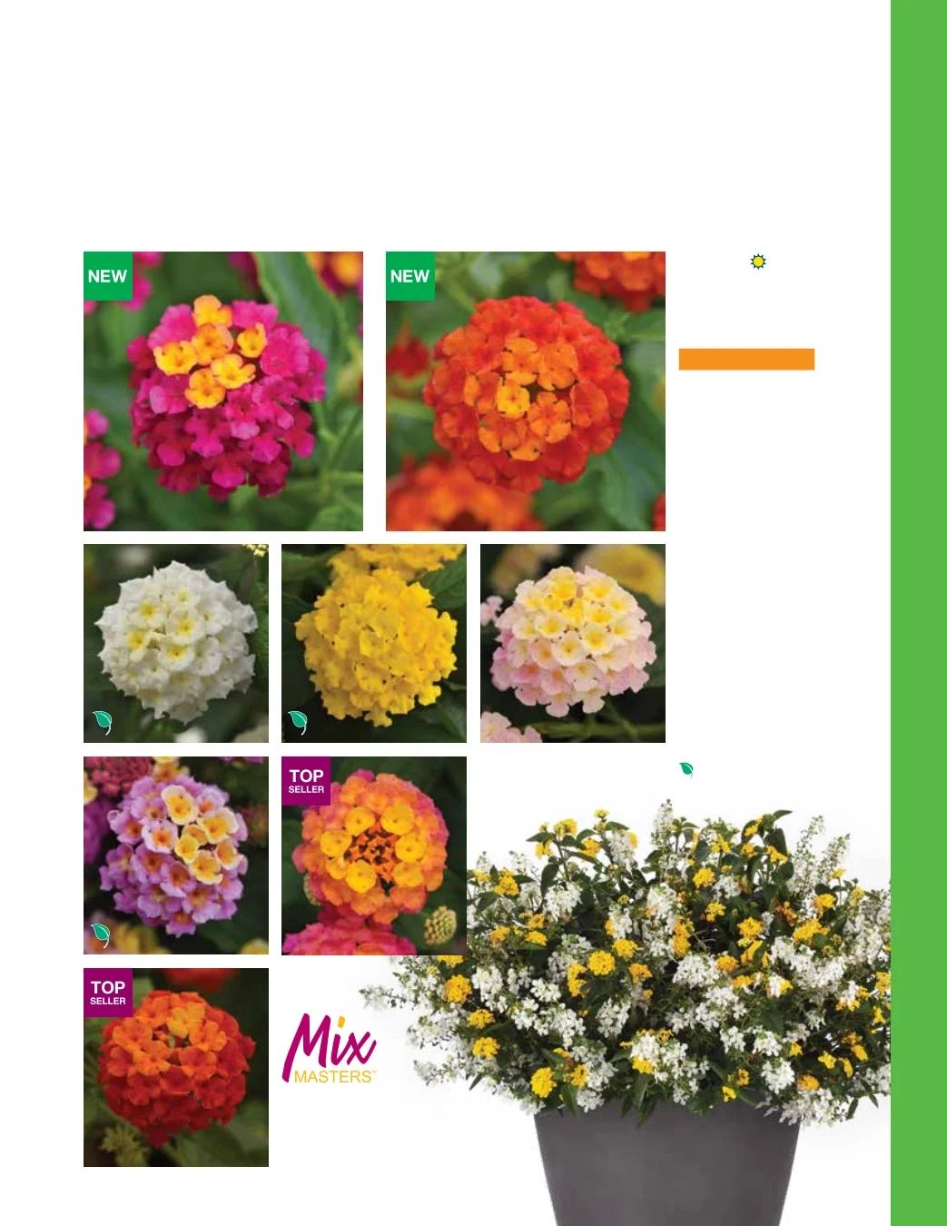 Ball FloraPlant Plants Catalog Weekly Ad January 1 - December 31, 2027