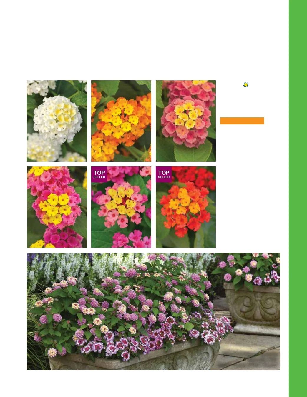 Ball FloraPlant Plants Catalog Weekly Ad January 1 - December 31, 2027