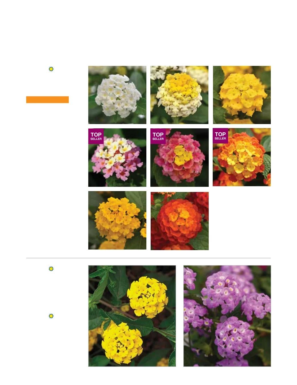 Ball FloraPlant Plants Catalog Weekly Ad January 1 - December 31, 2027