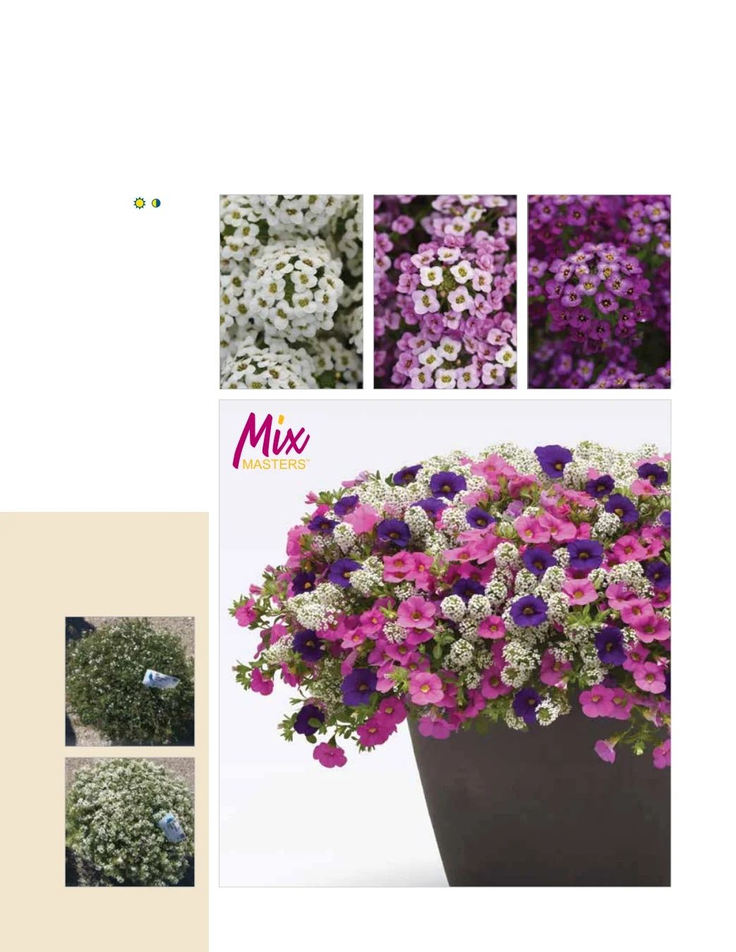 Ball FloraPlant Plants Catalog Weekly Ad January 1 - December 31, 2027