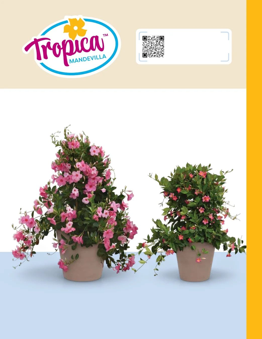 Ball FloraPlant Plants Catalog Weekly Ad January 1 - December 31, 2027