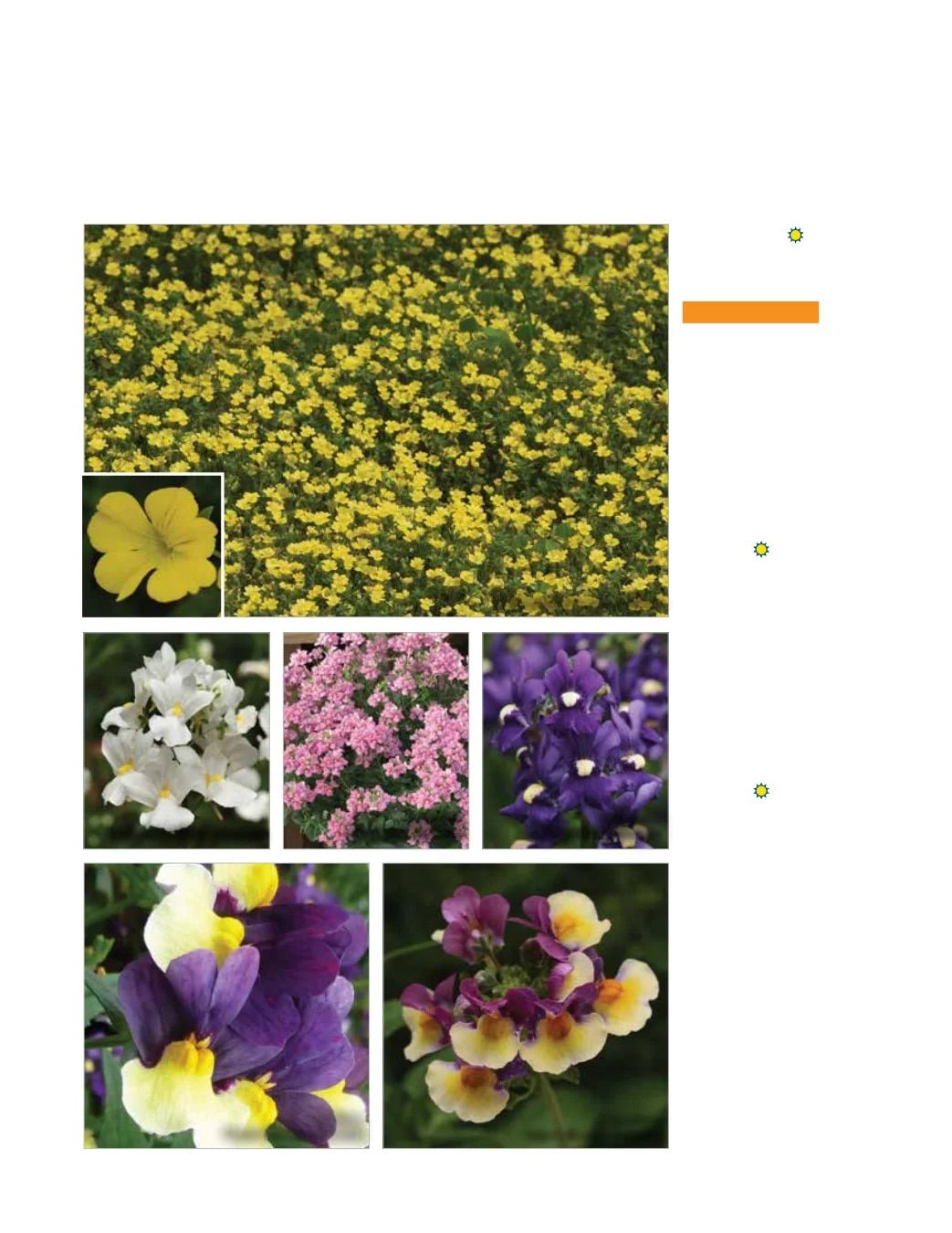 Ball FloraPlant Plants Catalog Weekly Ad January 1 - December 31, 2027
