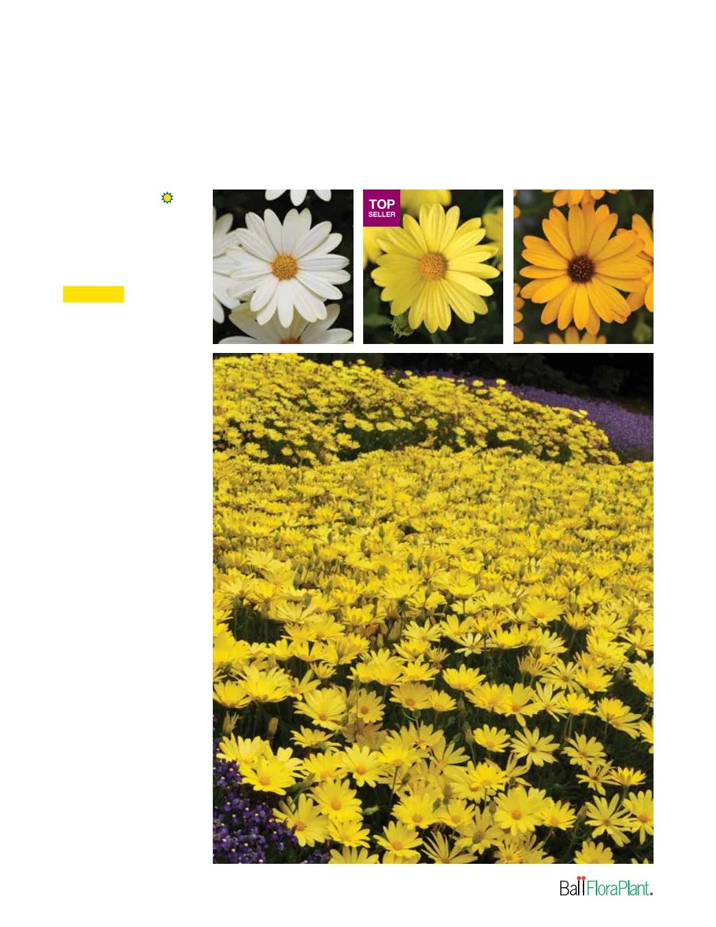 Ball FloraPlant Plants Catalog Weekly Ad January 1 - December 31, 2027