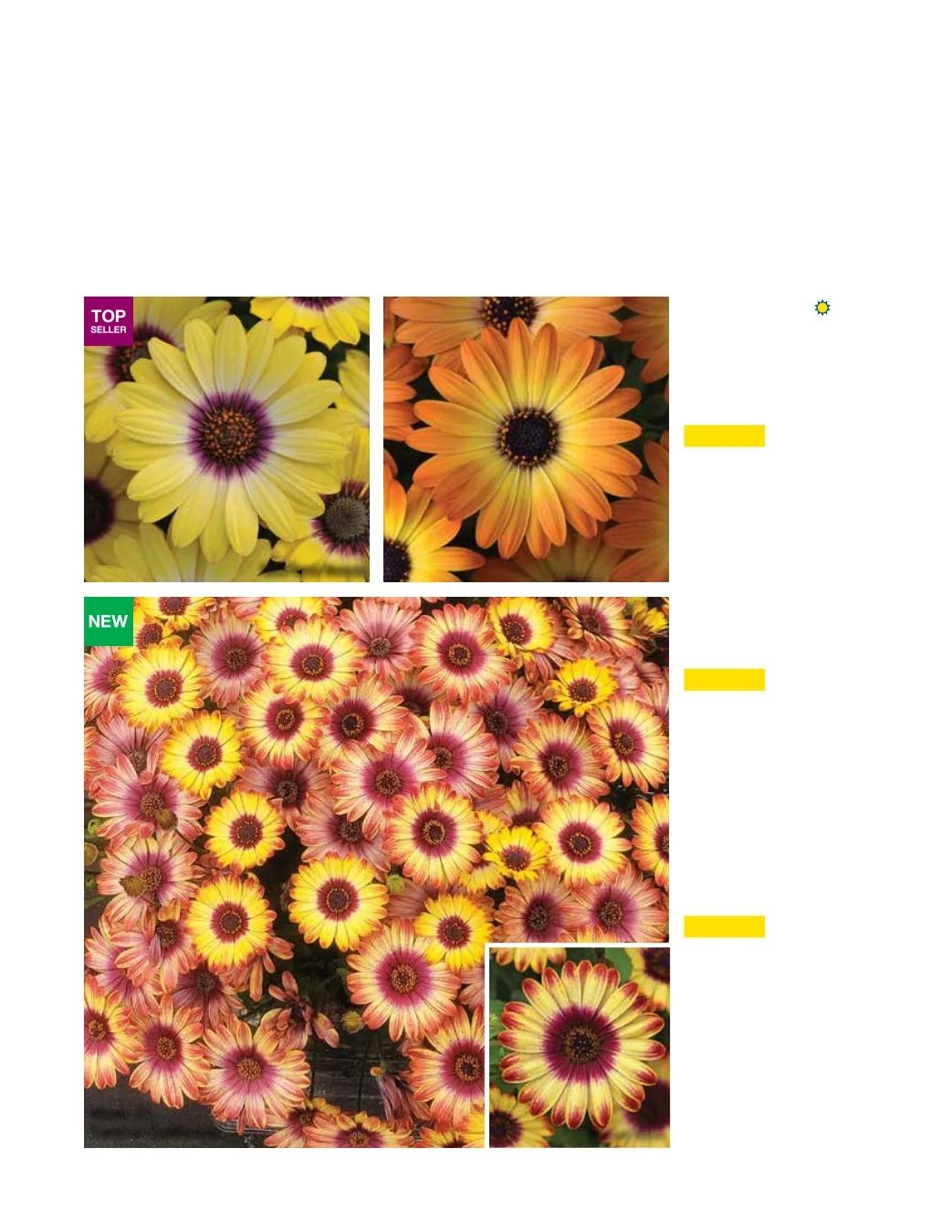 Ball FloraPlant Plants Catalog Weekly Ad January 1 - December 31, 2027