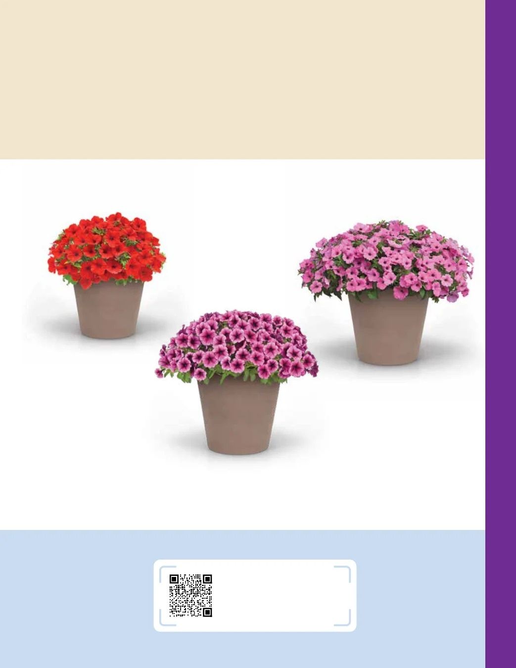 Ball FloraPlant Plants Catalog Weekly Ad January 1 - December 31, 2027