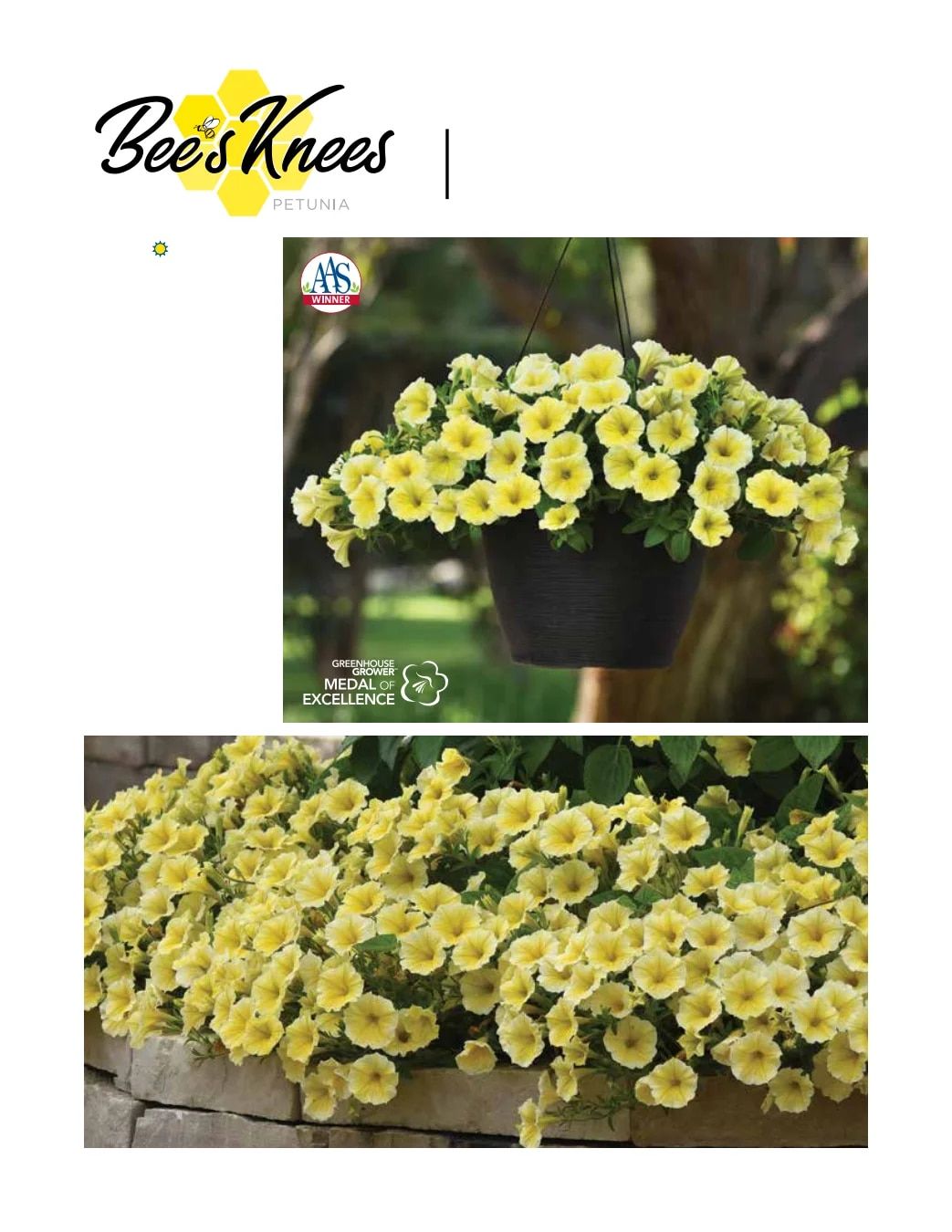 Ball FloraPlant Plants Catalog Weekly Ad January 1 - December 31, 2027